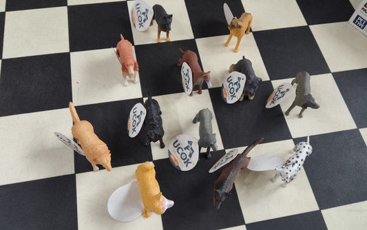 Silicone DOG Mini 12PCS SET