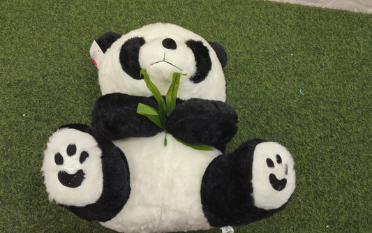 SOFT PANDA -1577- 999-TM5049