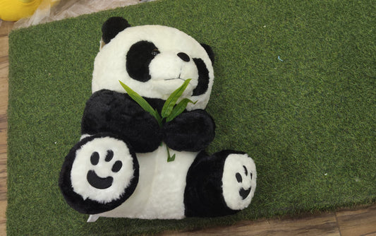SOFT PANDA -1578- 1399-TM5050