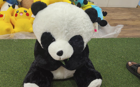 SOSFT PANDA - TM5054